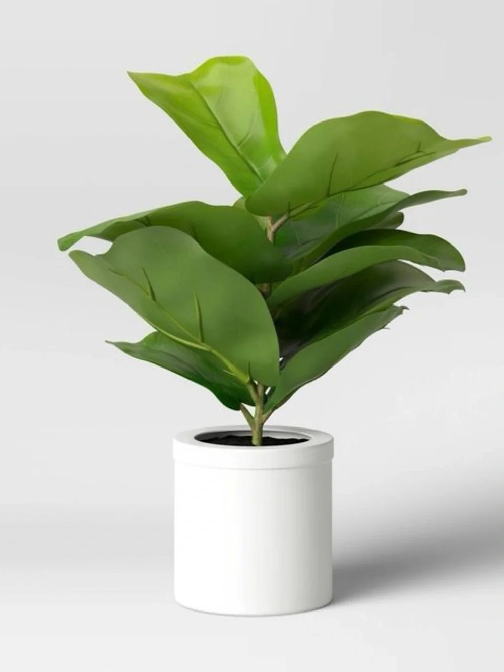 Artificial Fiddle Leaf Plant in Pot - Threshold: Lush Greenery, Ceramic Base
